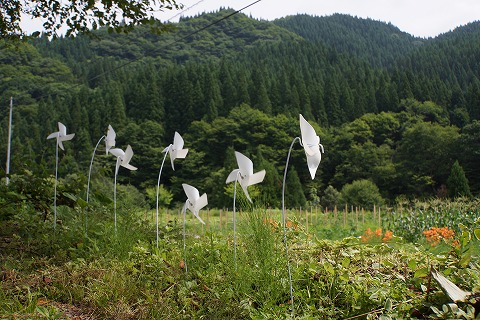 DSC01970.jpg