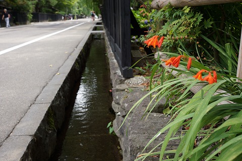 DSC02010_20120817063112.jpg