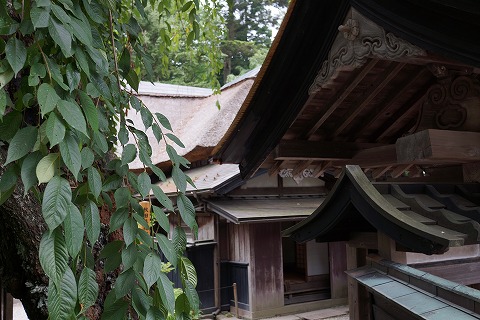 DSC02047.jpg