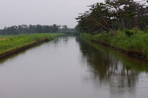 DSC02131_20120820053625.jpg