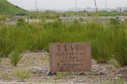 DSC02188.jpg