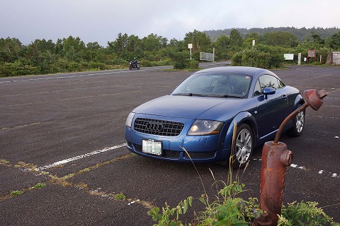 DSC02205mo.jpg