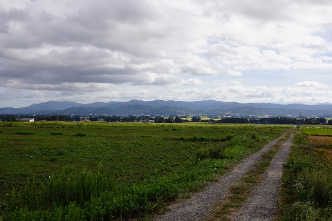 DSC02208.jpg