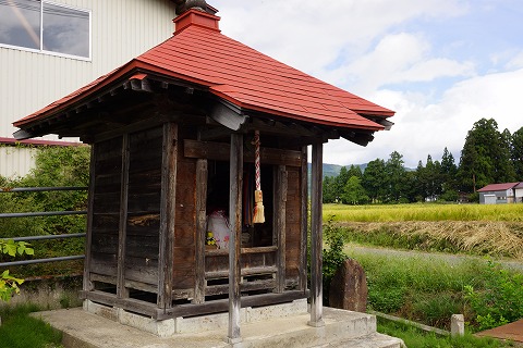 DSC02220.jpg