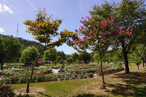 DSC02304.jpg