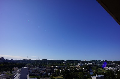 DSC02313.jpg