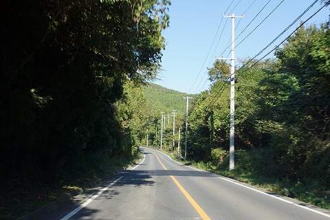 DSC02337.jpg