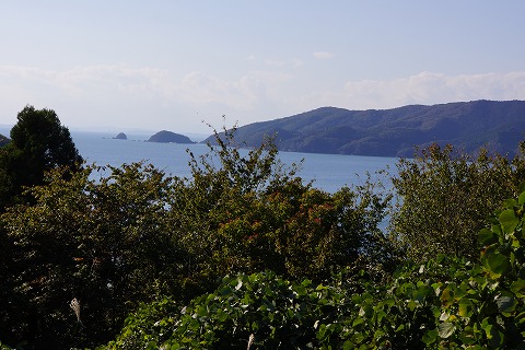 DSC02340.jpg