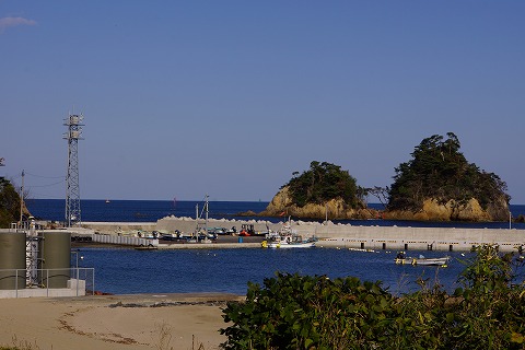 DSC02347.jpg