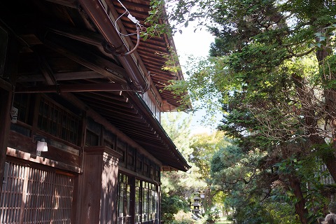 DSC02379.jpg