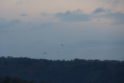 DSC02475.jpg
