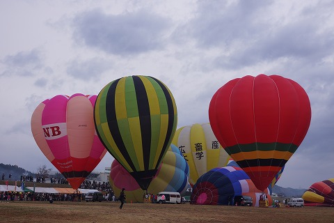 DSC02503.jpg
