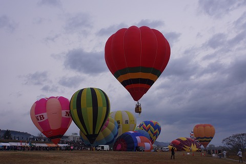 DSC02506_20121123172533.jpg
