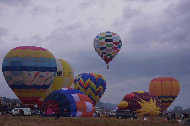DSC02517.jpg