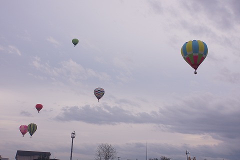 DSC02545_20121123172631.jpg