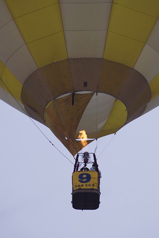 DSC02550.jpg