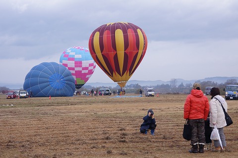 DSC02564_20121123172659.jpg