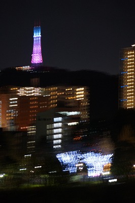 DSC02568.jpg
