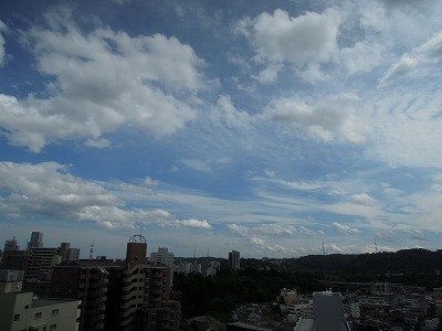 DSCN1227.jpg