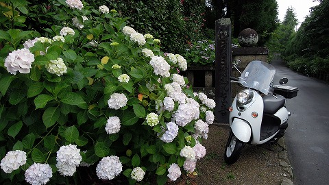 DSCN9400.jpg