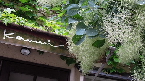 DSCN9402.jpg