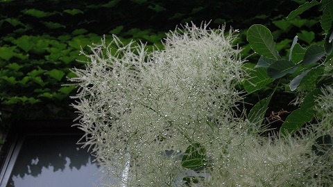 DSCN9403.jpg