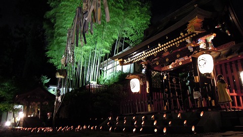 DSCN9527.jpg