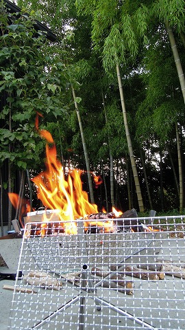 DSCN9572.jpg