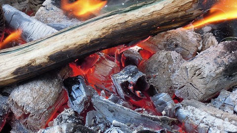 DSCN9573.jpg