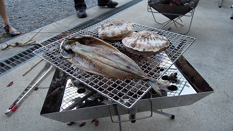DSCN9577.jpg