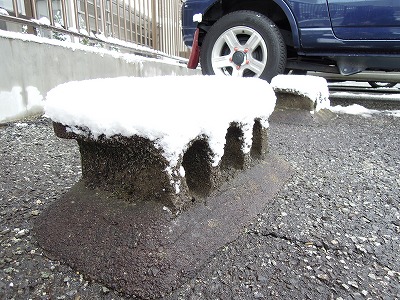 DSCN9703.jpg