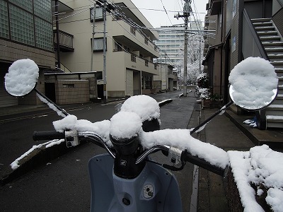 DSCN9704.jpg