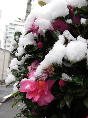 DSCN9706.jpg