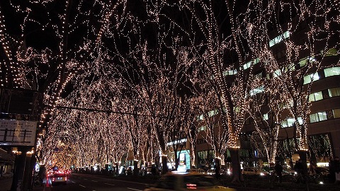 DSCN9721.jpg