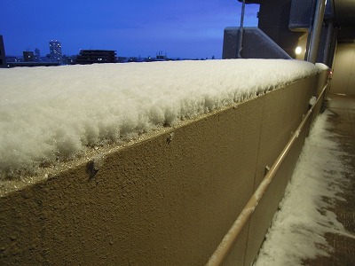 DSCN9806.jpg