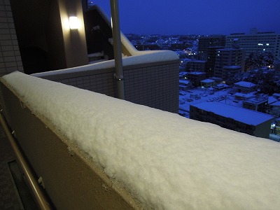 DSCN9807.jpg