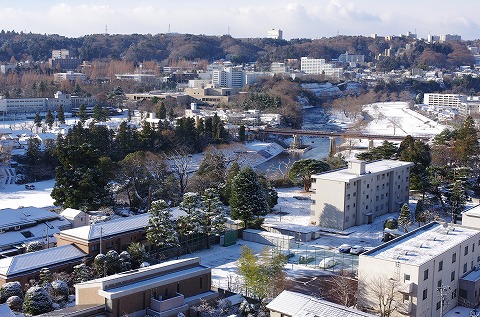 IMGP0033.jpg