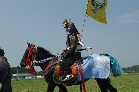 IMGP0040.jpg