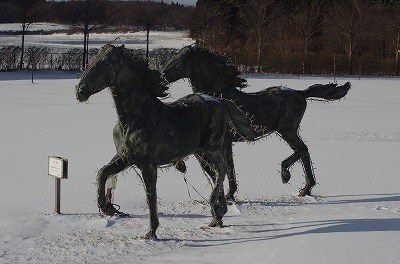 IMGP0041.jpg