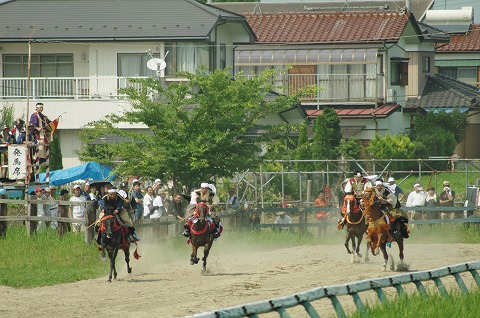 IMGP0130.jpg