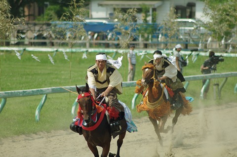 IMGP0131.jpg