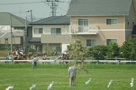 IMGP0134.jpg