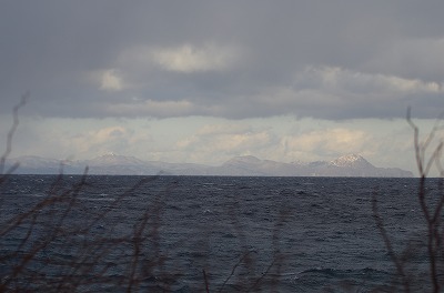 IMGP0137.jpg