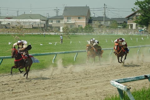 IMGP0140.jpg