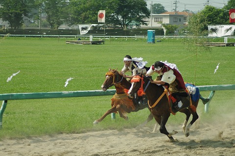 IMGP0146.jpg