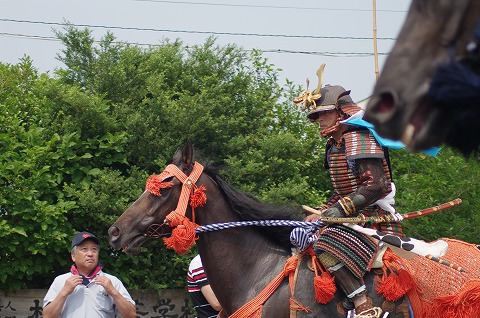 IMGP0167.jpg