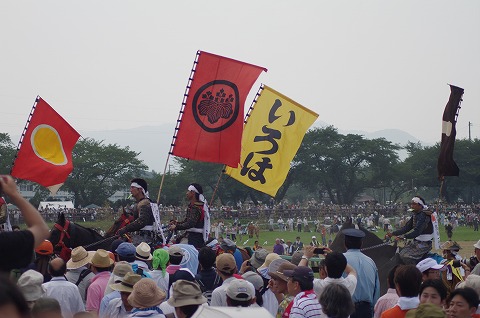 IMGP0198.jpg