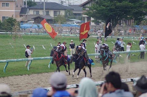 IMGP0206.jpg