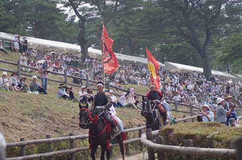 IMGP0216.jpg
