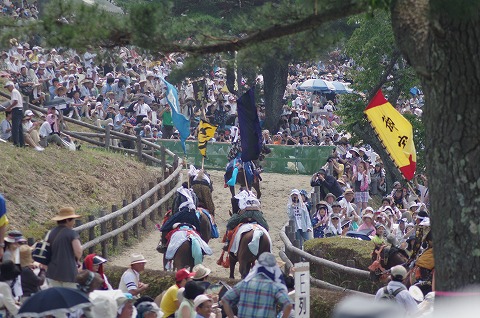 IMGP0245.jpg
